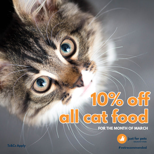 10% off Cat Food