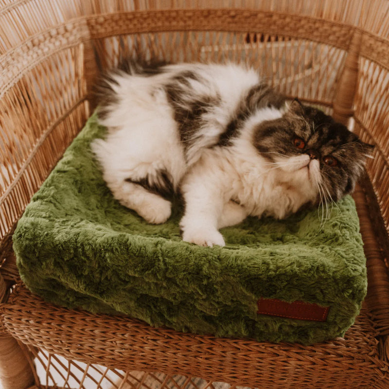 Load image into Gallery viewer, Huntlea Snooza Cube Cat Bed
