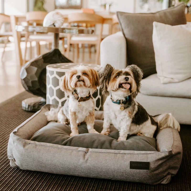 Load image into Gallery viewer, Huntlea Urban Bolster Dog Bed
