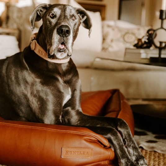 Huntlea Leather Luxury Slumber Bolster Dog Bed