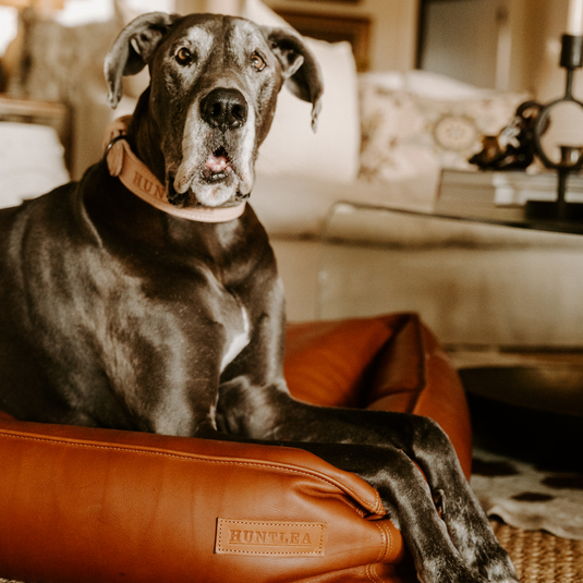 Huntlea Leather Luxury Slumber Bolster Dog Bed