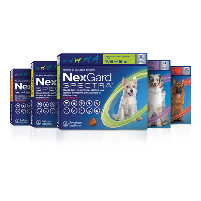 NexGard Spectra Chewable [Select as per your dog's weight] Sold per Tablet