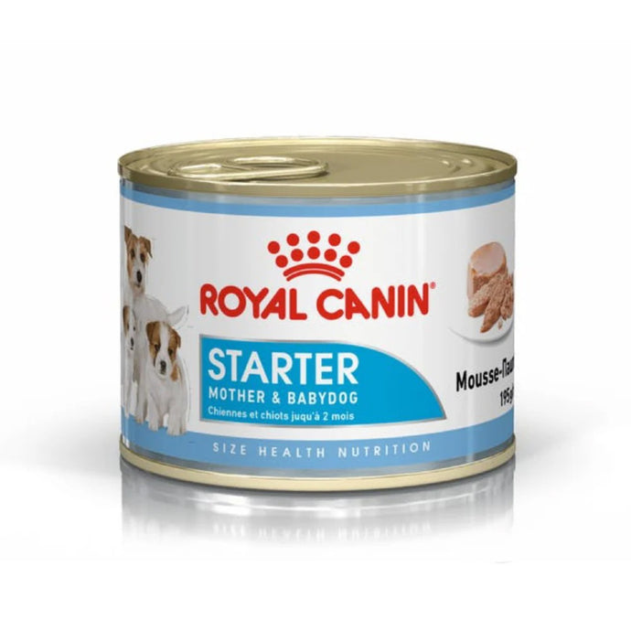 Royal Canin Starter Mousse Can